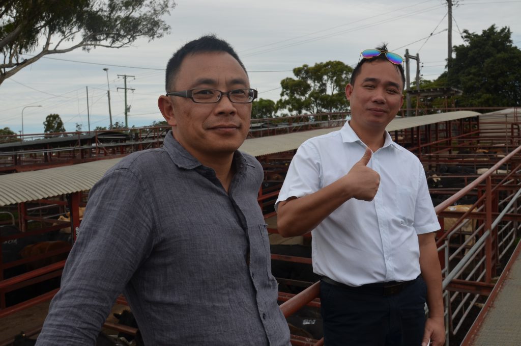 Investors Bruce Wong and Cowley Chen visiting the Warwick saleyards from China to explore business potential for importing Australian beef. 